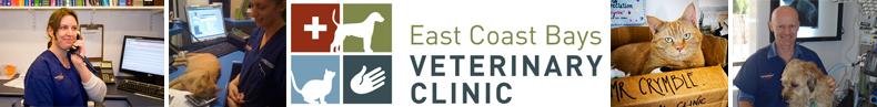 East Coast Bays Veterinary Clinic North Shore